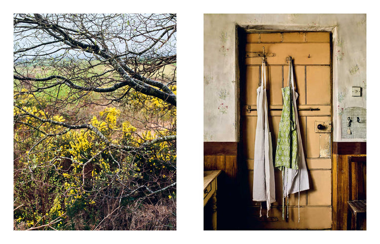 The Irish Kitchen
