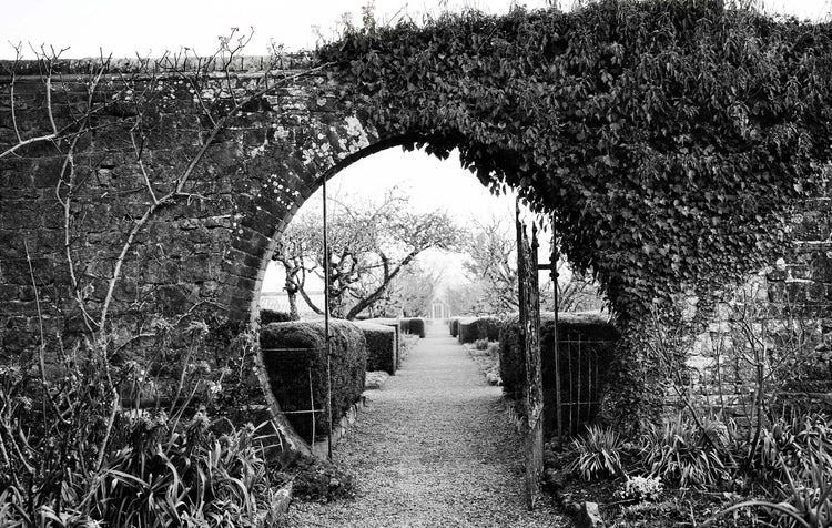 Black and white photograph of a stone archway covered with ivy, framing a garden path that recedes into the distance. Photograph by Andrew Montgomery.