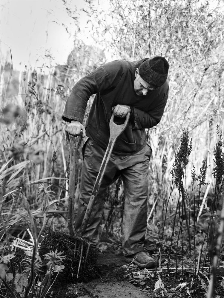 Winter Work - Great Dixter
