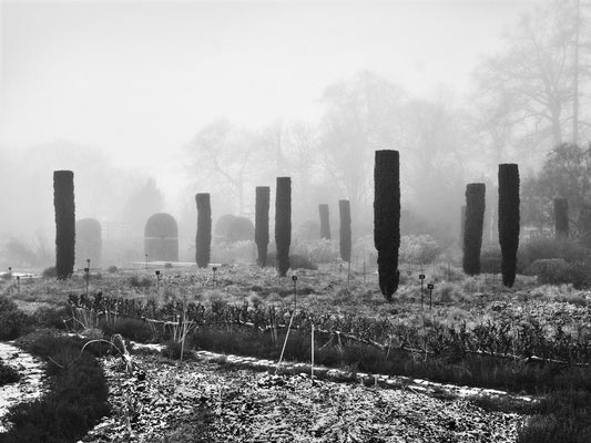Totems