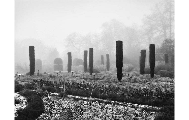 Exclusive A4 Giclee Photographic ‘Totems’ print.