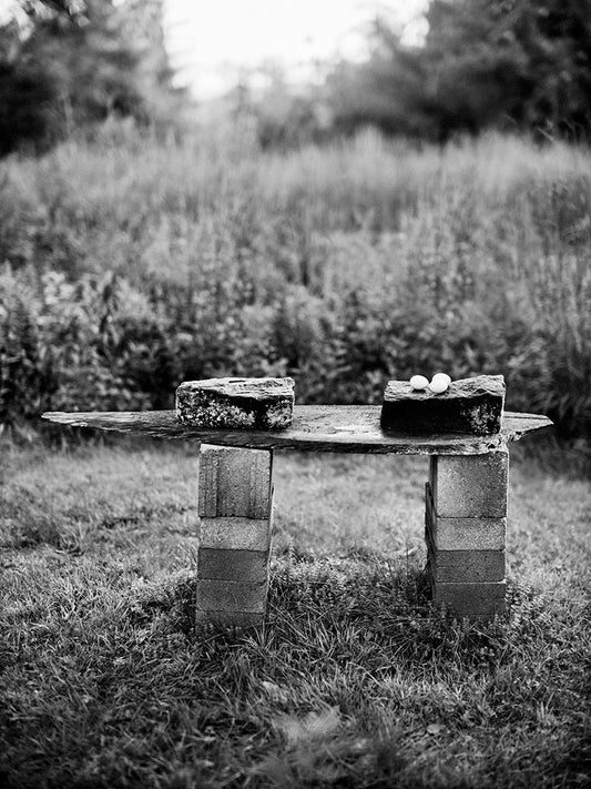 The stone feeding station at White Hollow with eggs for the crows. 