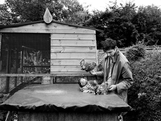 Arthur chatting to his beloved bantams, including two speckled Millefleur Barbu d’Uccle hens and a Pekin bantam. 