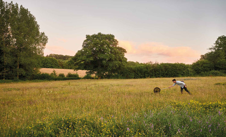 Pastoral Gardens