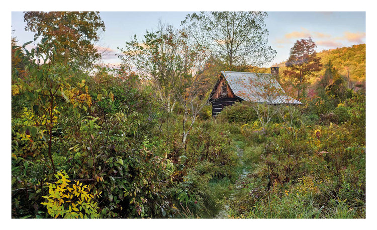 Pastoral Gardens