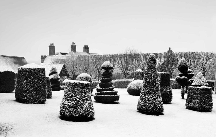 Winter Gardens - Extended Edition