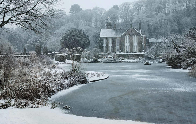 Winter Gardens - Extended Edition