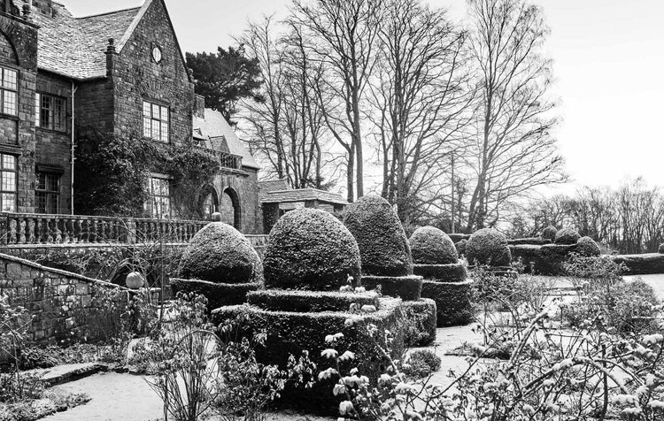 Winter Gardens - Extended Edition