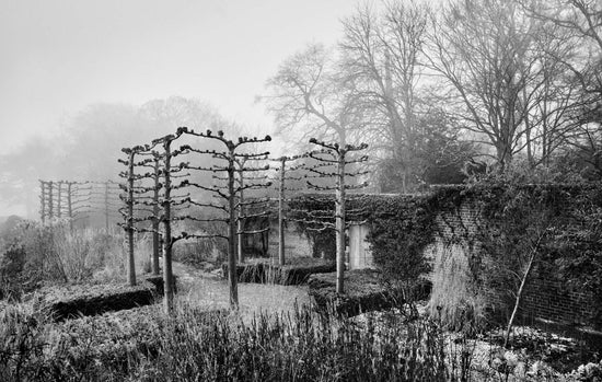 Black and white photograph of a walled garden scene in winter.