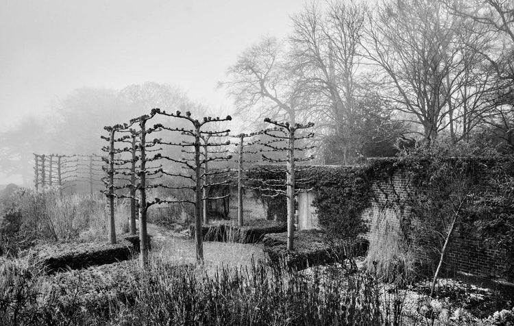 Black and white photograph of a walled garden scene in winter.