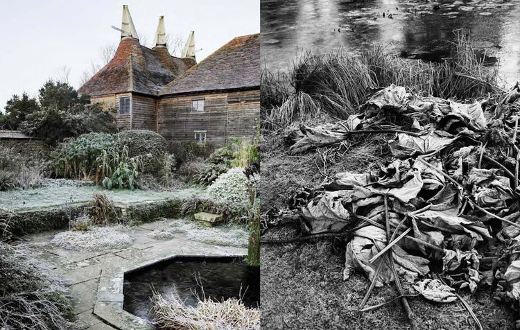A split photographic artwork: the left panel shows a rustic wooden building with tall conical roofs in a frosty outdoor setting, and the right panel is a black-and-white close-up of dried leaves and branches on the ground near water. Photograph by Andrew Montgomery.