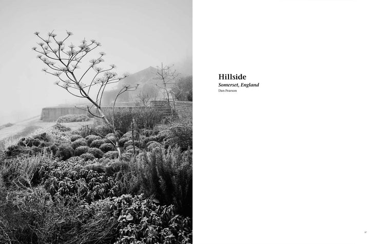 A black and white landscape photograph of a misty Hillside Garden in Somerset, England, designed by Dan Pearson. Photograph by Andrew Montgomery.