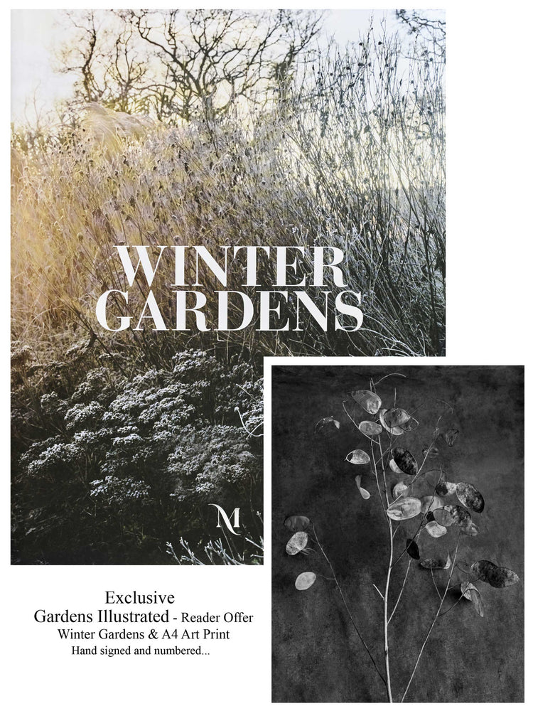 Winter Gardens / Gardens Illustrated print offer.