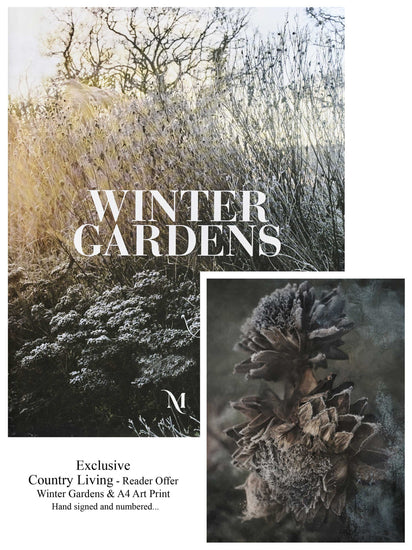Winter Gardens Country Living Reader offer. Winter Gardens & A4 art print, hand signed and numbered by Andrew Montgomery